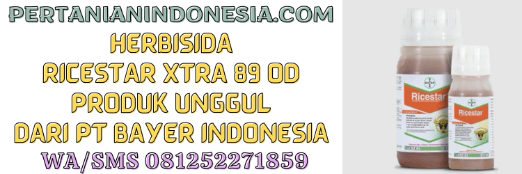herbisida,ricestar,ricestar xtra 89 od,bayer,pestisida,gulma,pertanian indonesia